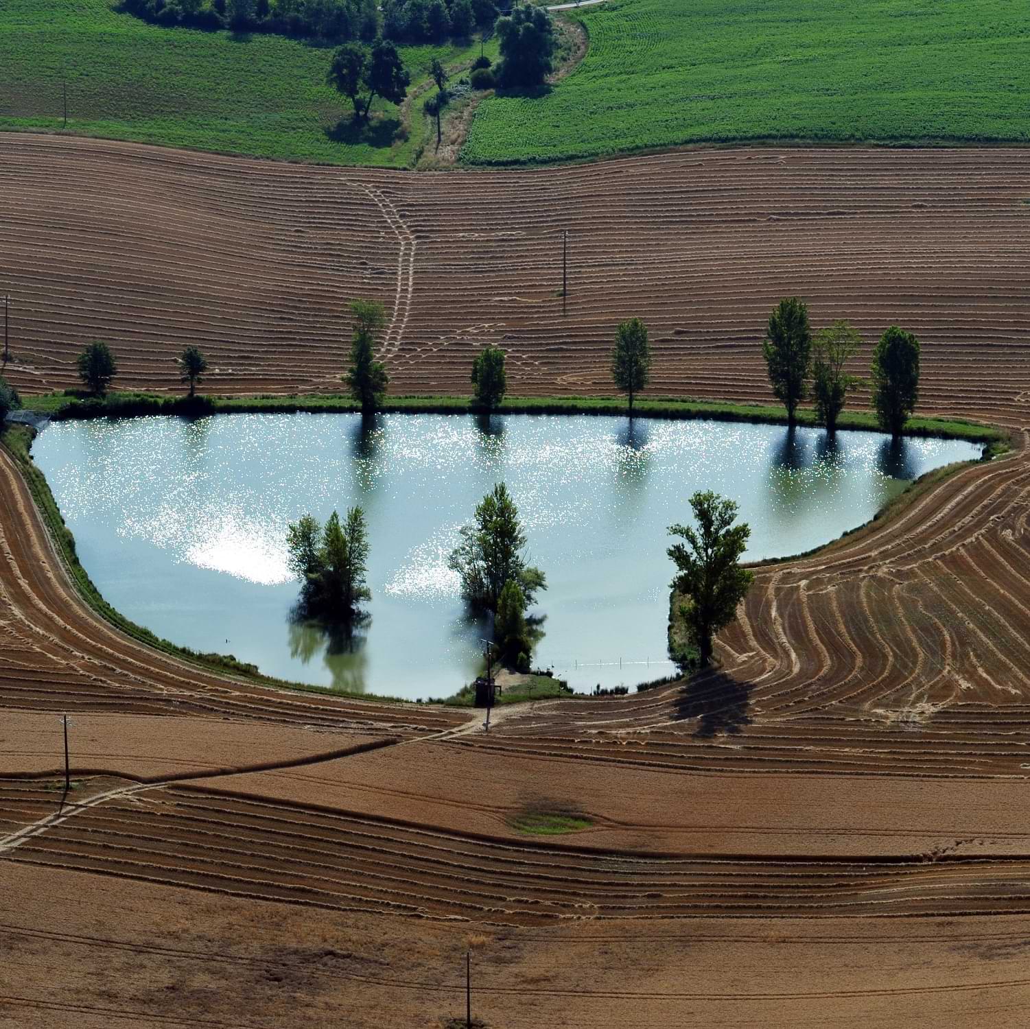 Agriculture
